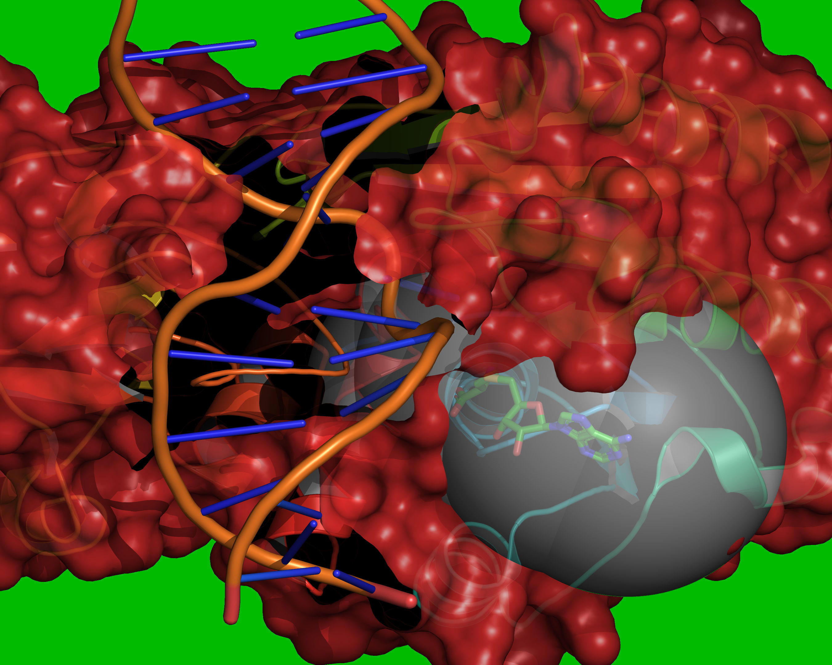 ../_images/reference-ligand-method-1.jpg