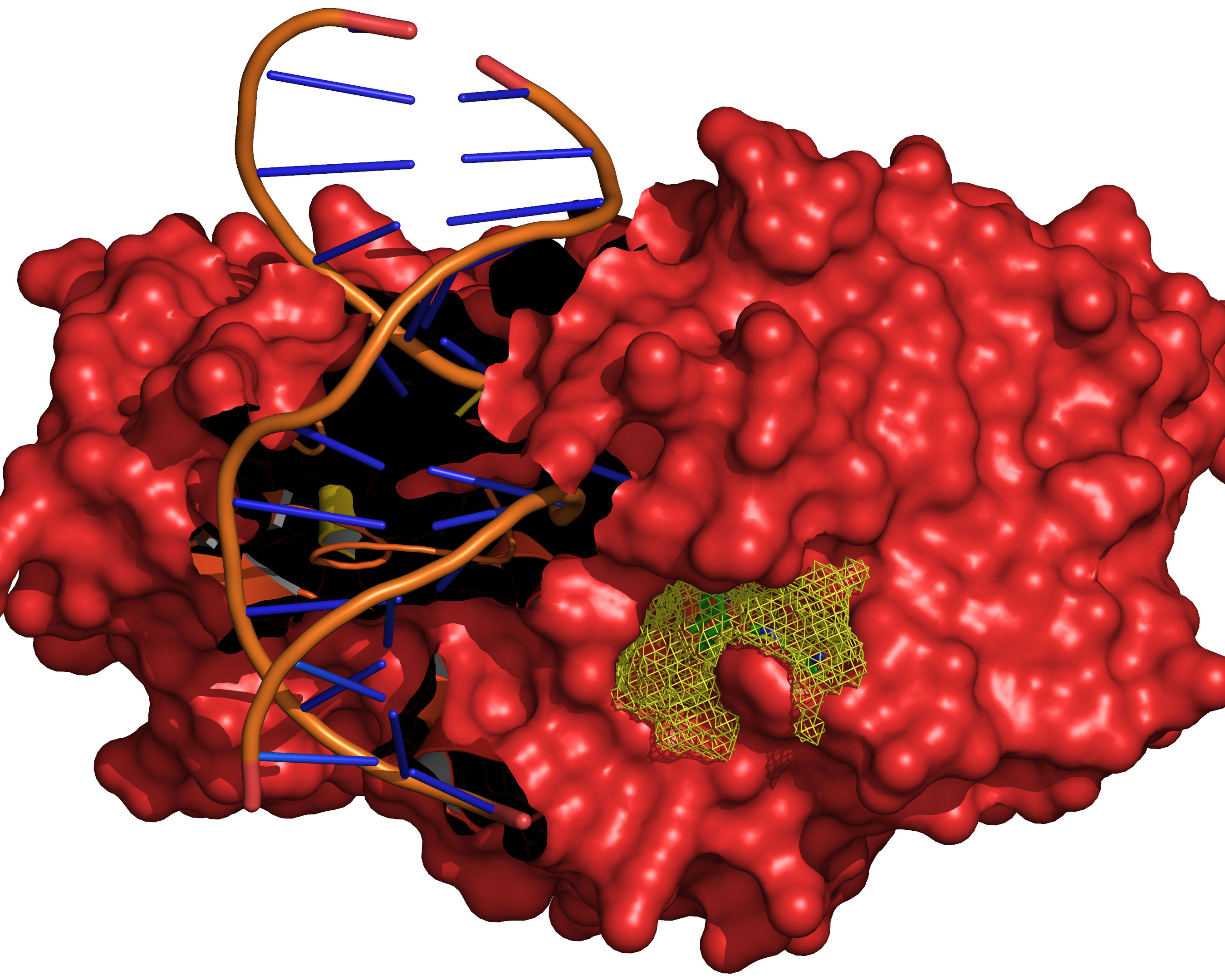 ../_images/reference-ligand-method-4.jpg